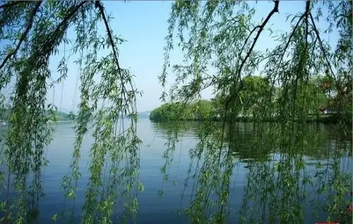 【新诗大观】春日情思||文/金粉玉蝶（图3）