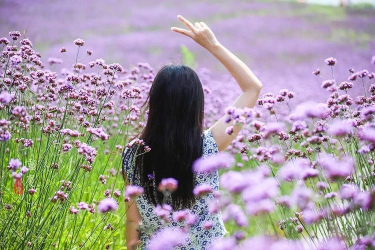 【迎春花开】昨夜天//今生 嗅一朵低眉的花（图4）