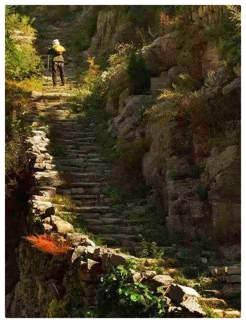 许木启诗歌《妈妈的山岗》新媒体平台优秀主播杜波深情诵读(图5)