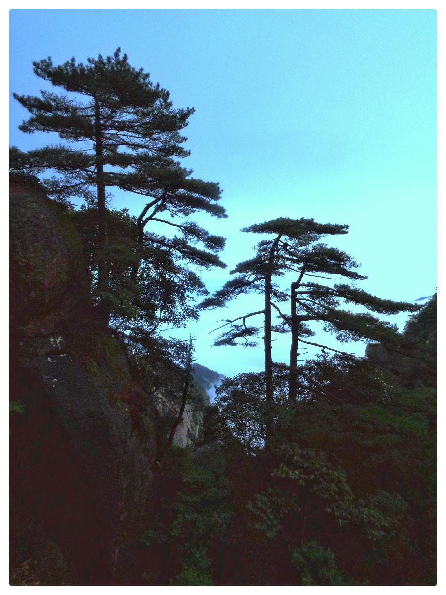 许木启诗歌《妈妈的山岗》新媒体平台优秀主播杜波深情诵读(图6)
