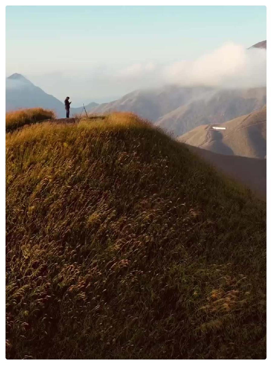 许木启诗歌《妈妈的山岗》新媒体平台优秀主播杜波深情诵读(图4)