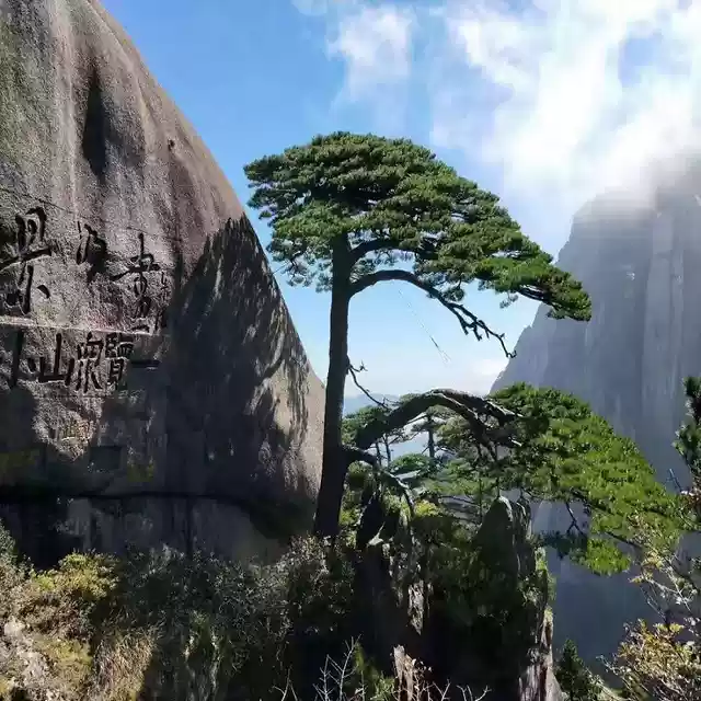 [桃源古韵]古韵七绝选集|作者:谭威华[总1081期]（图7）