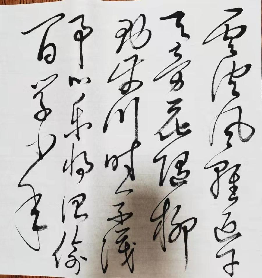 【当代文艺】张龙才书法作品欣赏（图12）