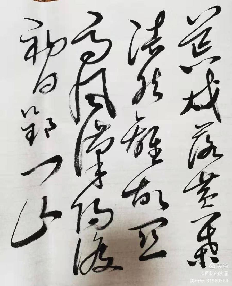 【当代文艺】张龙才书法作品欣赏（图13）