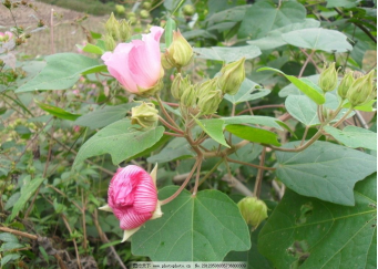 103209360.png image.png