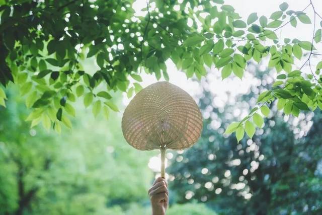 殢人娇炎夏将却二阕 // 王建群（山东济南）（图2）