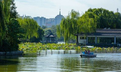 张国贤诗词新作三首