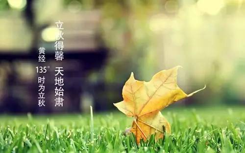 敬和建群兄//赵寅辰