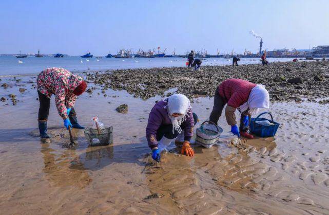 难忘桑沟湾那片海 //王金龙(图5)
