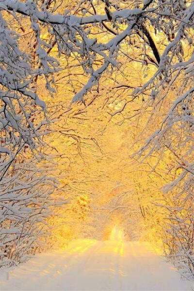 锦绣桑田： 深夜大雪 // 桑恒昌（图2）