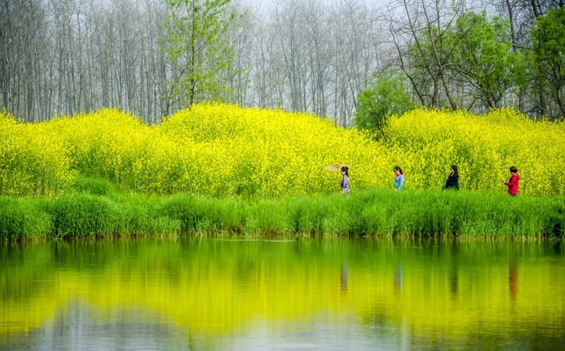 七律·仲春（新韵） // ​画马翁（图2）