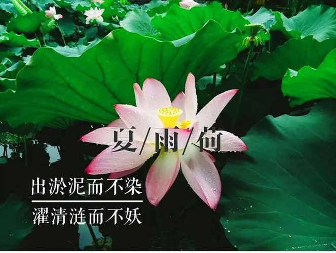 2345_image_file_copy_9.jpg