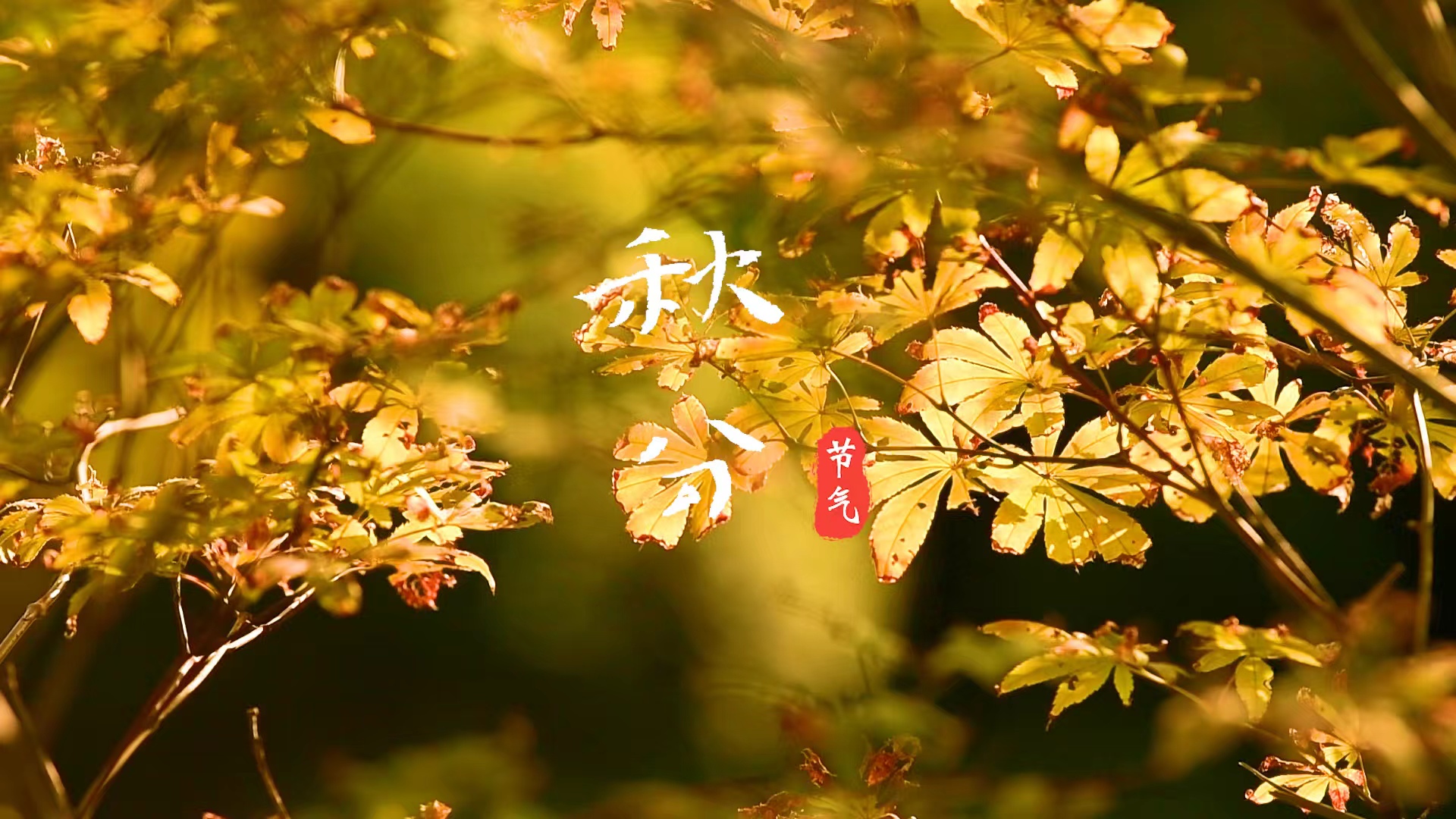 dfb432f5079282de4d87f03955198cb.jpg