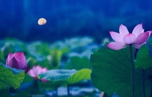 邵国贤《随感》ll诗词览胜~哈尔滨头条（图4）