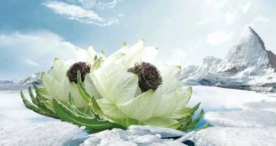 联机全球发布张秀祥精品诗歌（图7）