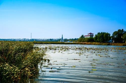 查干湖春夏秋冬 作者:高志军 京津沪头条文学平台发布(图4)