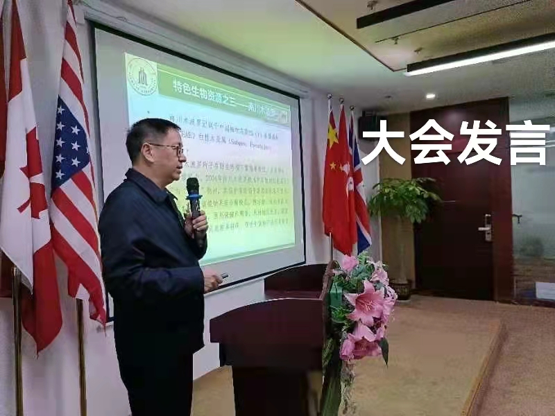 赞显平弟（叙事散文诗）作者丁培恭｜海外头条（图4）