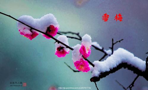 五绝 咏梅 文/盛魁（河南）（图2）