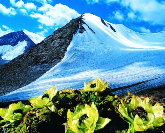 李启明《等你》诗歌,金牌主播虹诵读,诗评:严峻编辑宋梅【中国长江文学社】有声文学平台第2939期(图7)