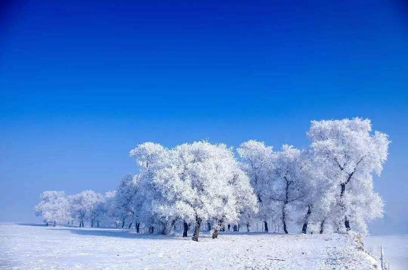 〔七绝组诗〕 小雪咏怀 作者 许日辉(广东)【冰心文化传媒】(图6)