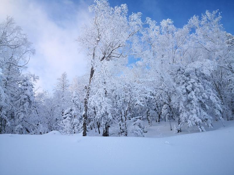 〔七绝组诗〕 小雪咏怀 作者 许日辉(广东)【冰心文化传媒】(图12)