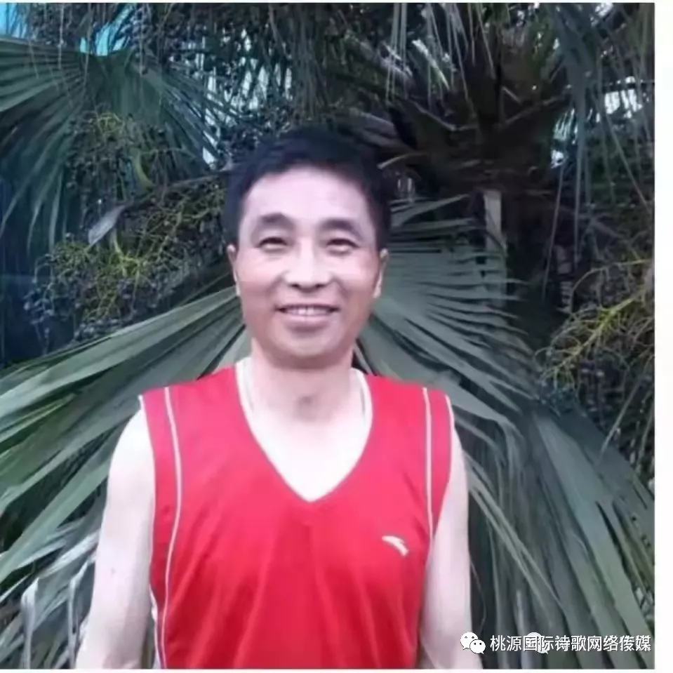 【桃源馨声】风是在什么方向吹起‖作者:雨蒸‖主播:知语【总1036期】(图9)