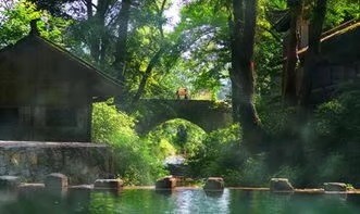 《七律,谢玉娘》等七首 作者/霞光瀑布 主播/山谷幽兰 编辑/胡琴(图2)