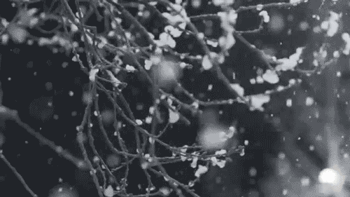 大雪诗词三首 王香谷（澳大利亚）【冰心文化传媒】（图3）