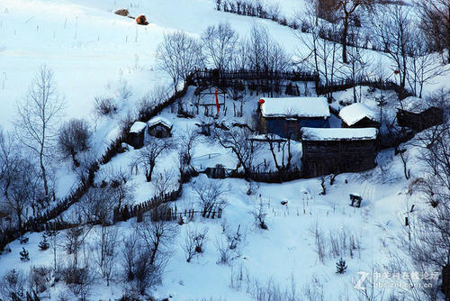 七绝 大雪（新韵）王世泽 北京（图2）