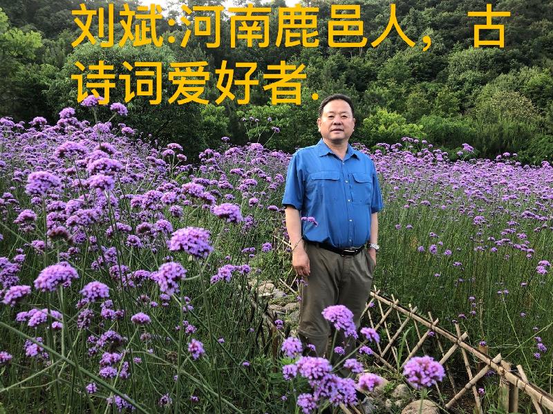 （自由体）杨帆答《回乡有感》之一 刘斌（图4）