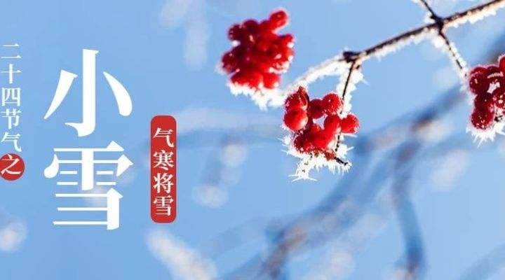 全球诗人艺术家月刊：欧洲诗人对话大洋洲诗人（12月刊）海外头条（图6）