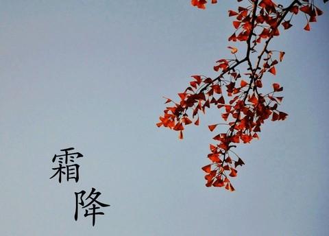 古风《闲言碎语话冬趣》(二十六)梅开眼笑 文/乡音