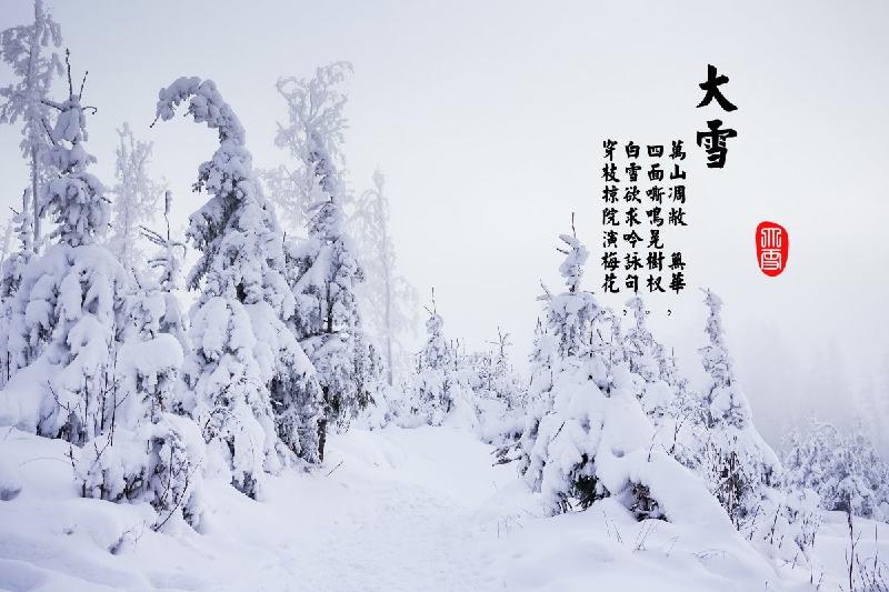 【潇湘文学社】潇湘问梅诗社《随吟辑》(总229期)(图11)
