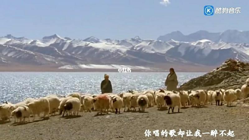 【潇湘文学社】潇湘问梅诗社《随吟辑》(总229期)(图13)