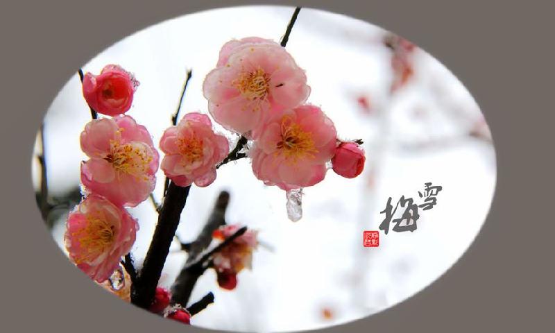 推荐 二老头 诗歌专辑(图7)