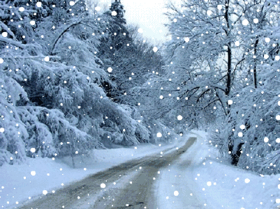 【新诗大观】大雪||文/最美的时光(图4)