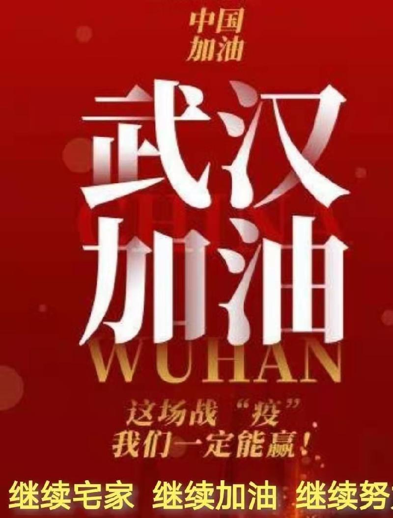 抗疫纪实（简约篇）作者丁培恭｜海外头条（图9）
