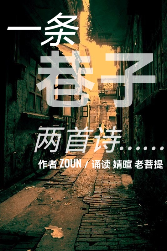 一条巷子,两首诗ll作者 ZOUN ll诵读 婧暄 老菩提(图2)
