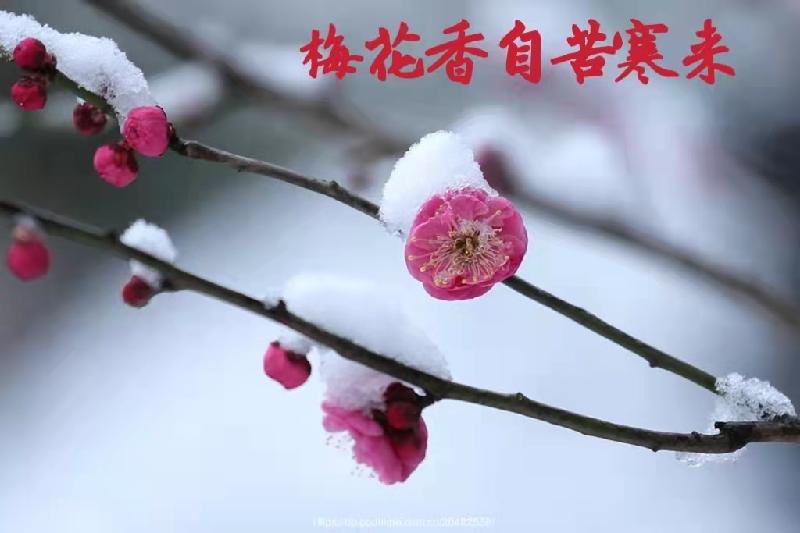 《写给立志飞翔的小田同学》作者/费龙祥 主播/叶子 编辑/胡琴(图3)
