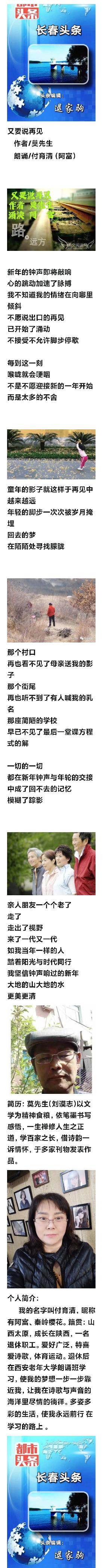 又要说再见 作者/莫先生 朗诵/付育清（阿富）