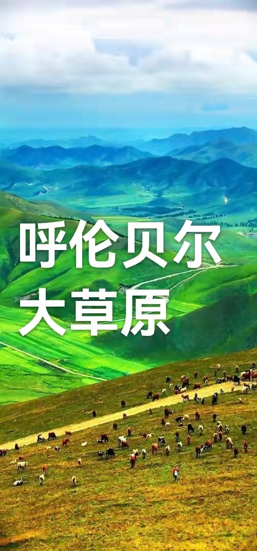 呼伦贝尔大草原：作者丁培恭｜海外头条（图2）