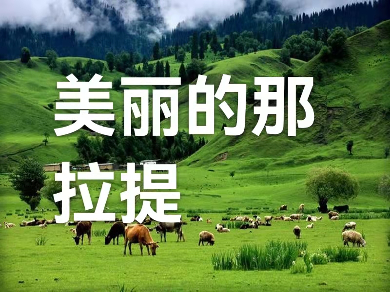 美丽的那拉提（叙事散文诗）作者丁培恭｜海外头条（图2）