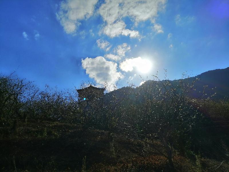 流溪梅景(诗词五首)作者/江冲(图21)