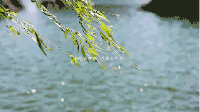 王启赋诗歌每日一诗精选七首主播月儿编辑香乡北疆头条第129期