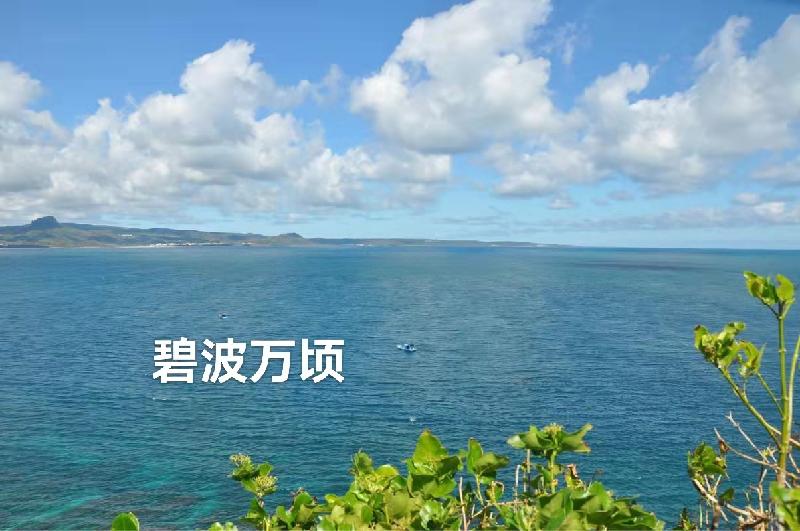 歌唱粤港澳大湾区：作者丁培恭｜海外头条（图3）