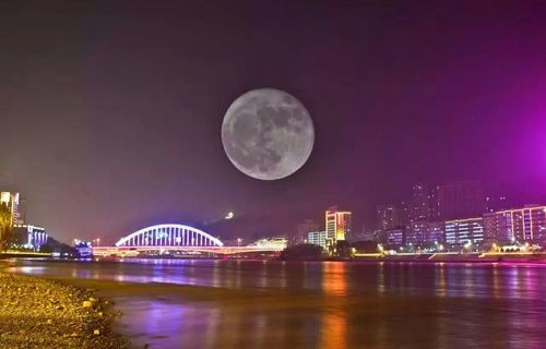 月亮 作者：渝陇之子 京津沪头条文学平台发布（图2）