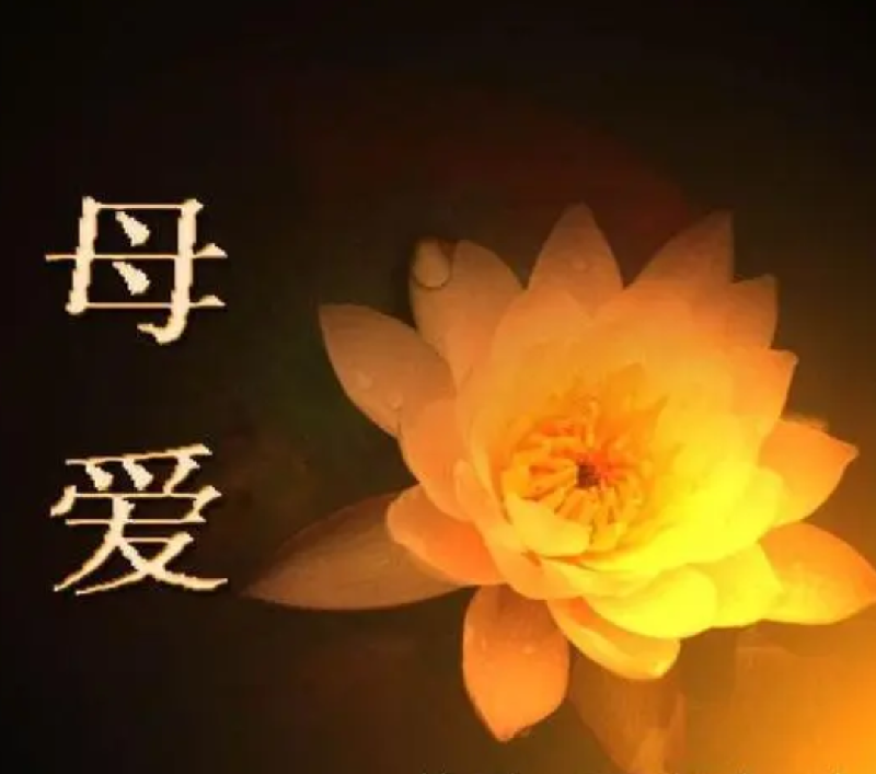 【汉俳连作】忆娘亲 文/风和日丽 京津沪头条文学平台发布(图2)