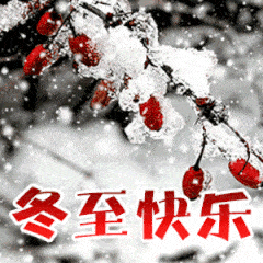 水调歌头·南宁冬至有感（龙谱，苏舜钦体）隆光诚 广西南宁【冰心文化传媒】（图3）