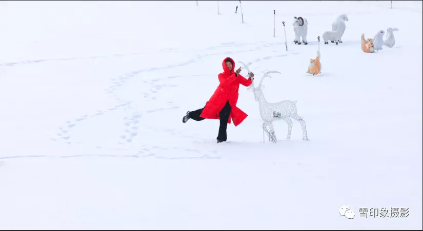 雪Ⅱ文/赵京江，摄影/杨淑梅（图4）