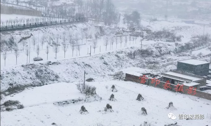 雪Ⅱ文/赵京江，摄影/杨淑梅（图2）